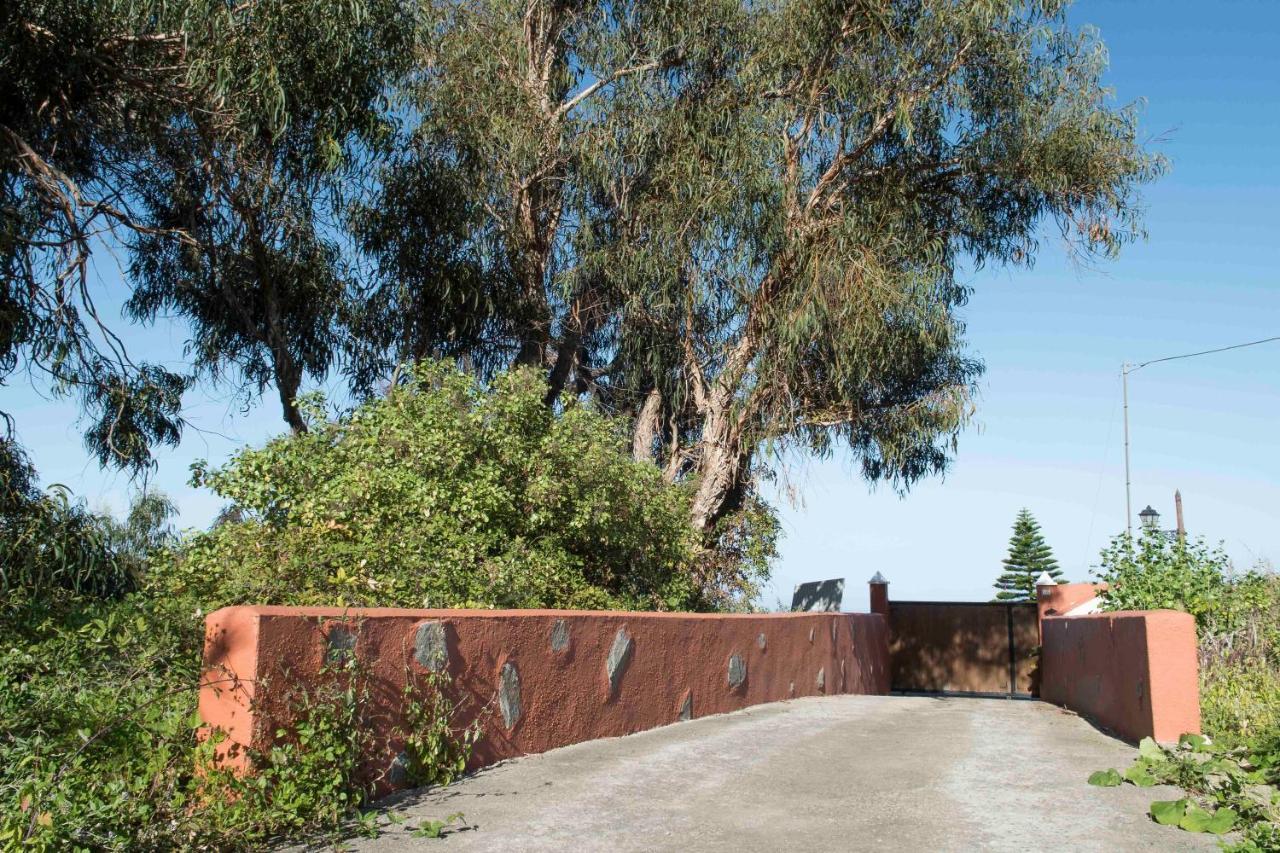 Icod el Alto Casas En Finca Ecologica La Espiral, Naturaleza, Calma Y Vistas Al Mar, מראה חיצוני תמונה