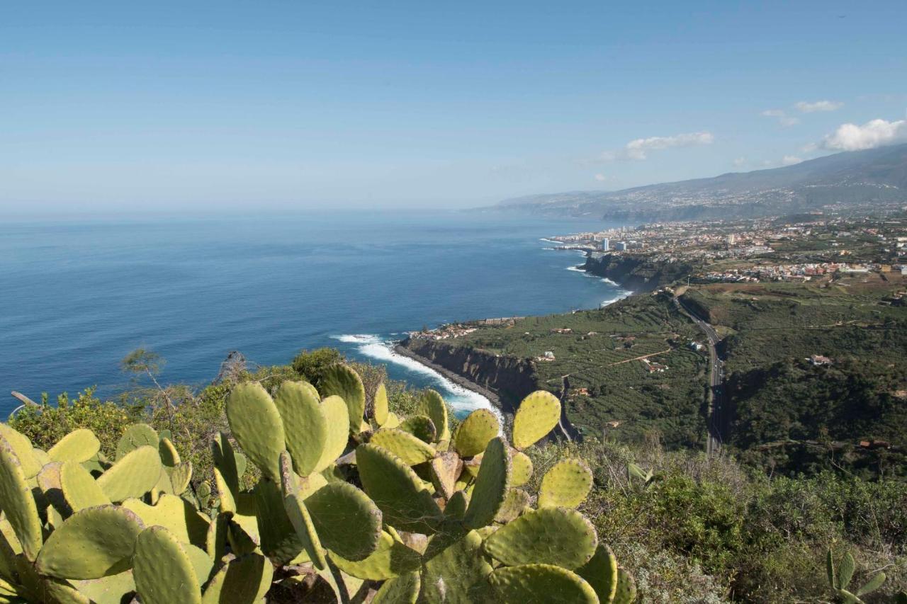 Icod el Alto Casas En Finca Ecologica La Espiral, Naturaleza, Calma Y Vistas Al Mar, מראה חיצוני תמונה