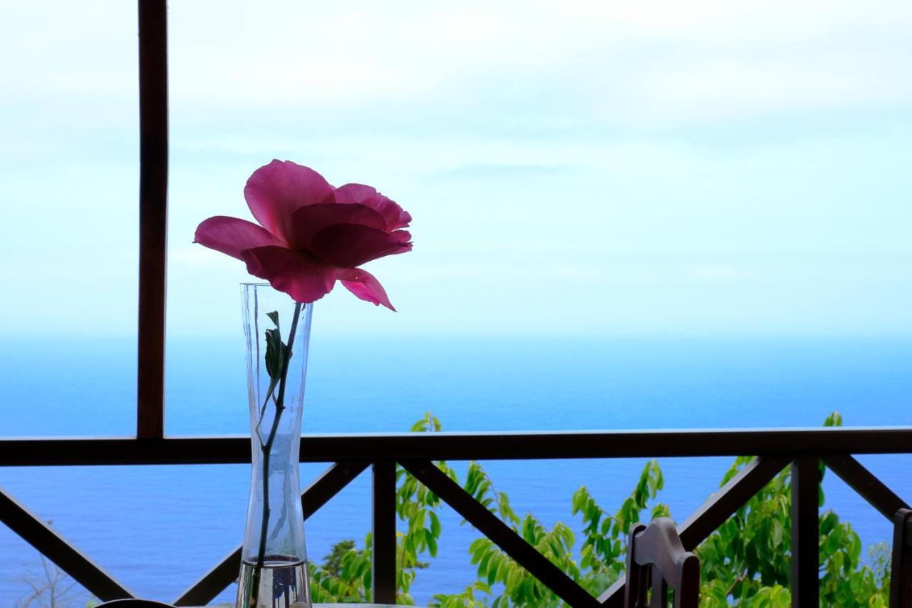 Icod el Alto Casas En Finca Ecologica La Espiral, Naturaleza, Calma Y Vistas Al Mar, מראה חיצוני תמונה