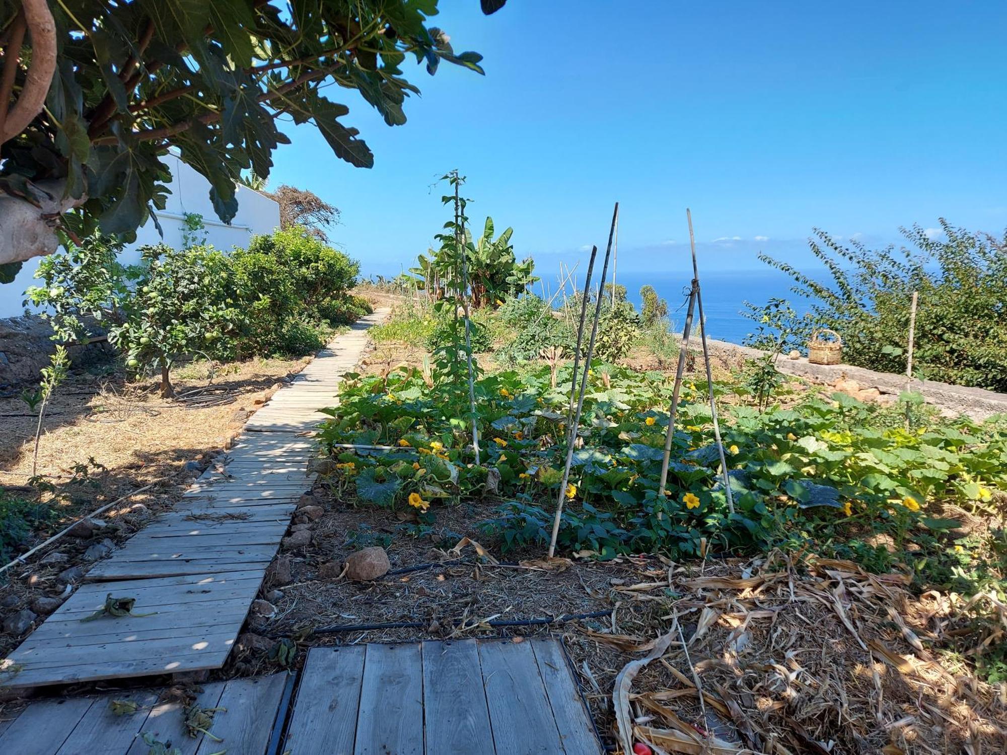 Icod el Alto Casas En Finca Ecologica La Espiral, Naturaleza, Calma Y Vistas Al Mar, חדר תמונה