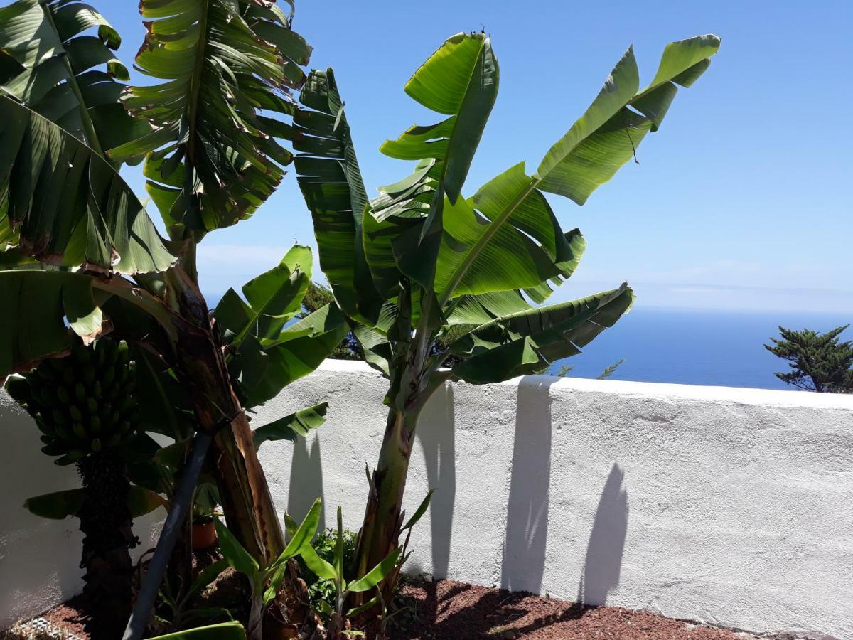 Icod el Alto Casas En Finca Ecologica La Espiral, Naturaleza, Calma Y Vistas Al Mar, מראה חיצוני תמונה