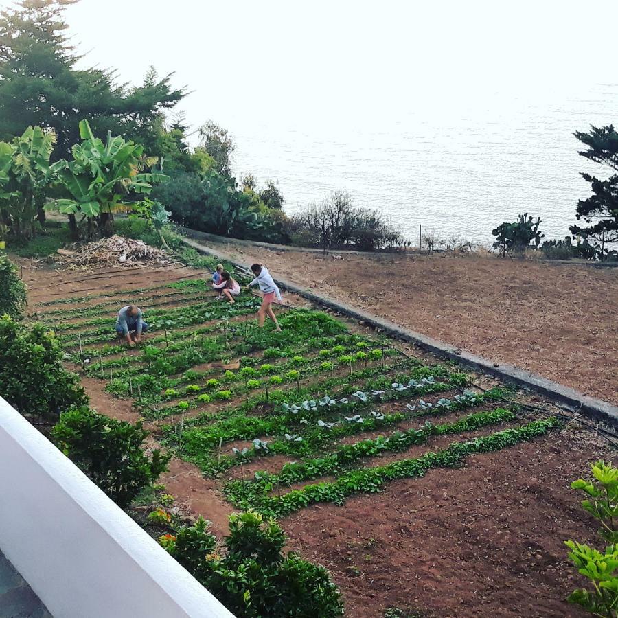 Icod el Alto Casas En Finca Ecologica La Espiral, Naturaleza, Calma Y Vistas Al Mar, מראה חיצוני תמונה